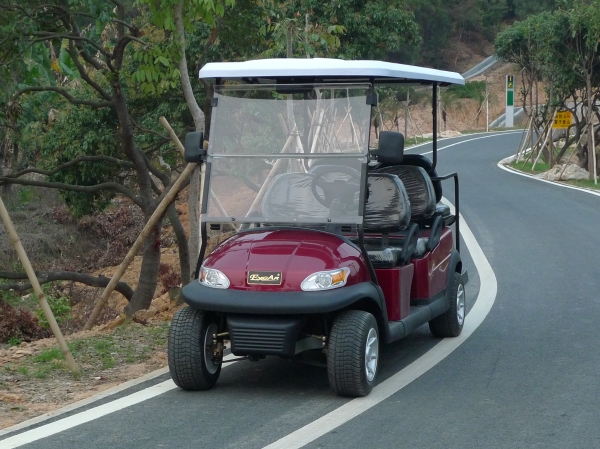 鑫跃6座电动高尔夫球车A1S4+2，可定制各种颜色及款式